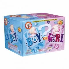 Boy or Girl(Assorted Case) Blue